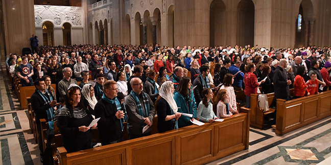 011819 mfl nc mass