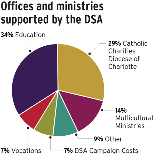 013125 2024 DSA support pie chart